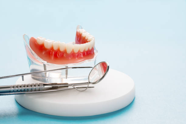 Best Traditional Braces  in Gardner, IL